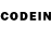 COCAIN Columbia Forbidden Production