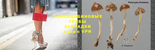jwh Алзамай